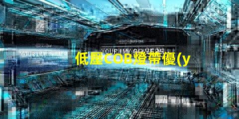 低壓COB燈帶優(yōu)缺點(diǎn) led燈帶和cob燈帶哪個(gè)好